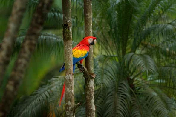 Aluxes Ecopark